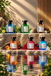 The Hidden Language of Fragrance Notes: A Beginner’s Complete Guide