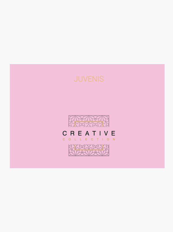Juvenis Creative Collection 6pcs Set Lady Box